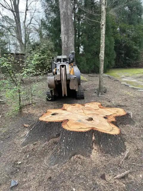 Tracked stump grinder lined up behind a freshly cut stump face in an Atlanta yard