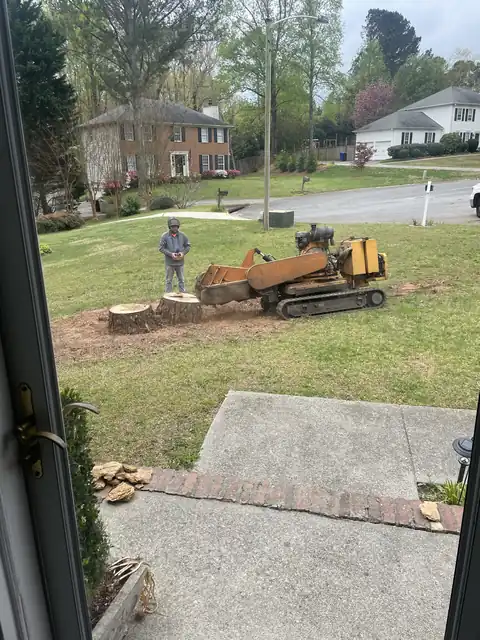 Operator and grinder working across a lawn, seen from a distance