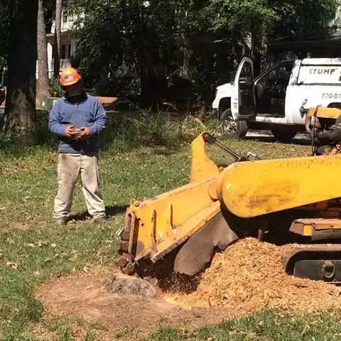 Operator standing beside the yellow tracked stump grinder with the Tree Stump Masters van parked behind