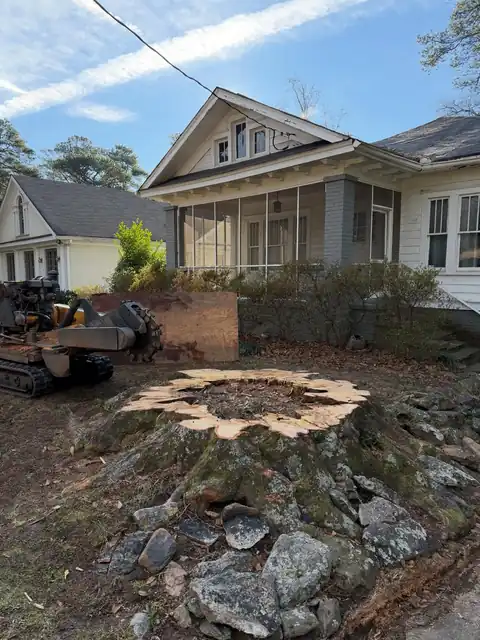 Tracked stump grinder parked behind a fresh stump in front of a craftsman bungalow