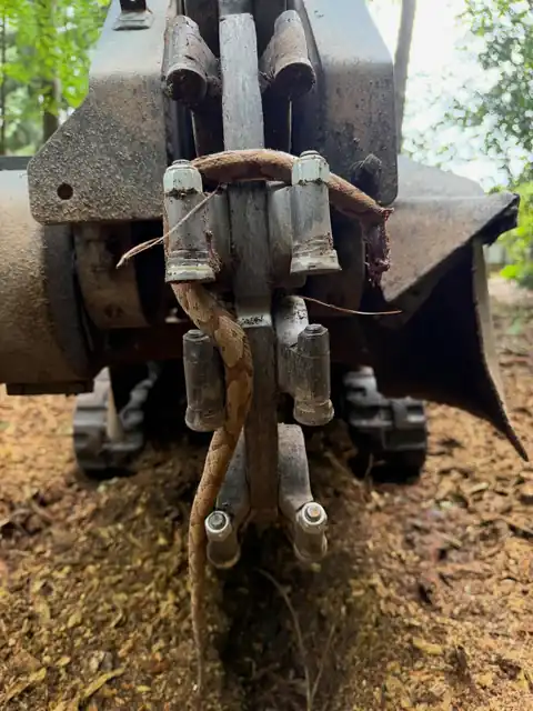 Close view of the grinder's cutter wheel and teeth above torn roots and sawdust