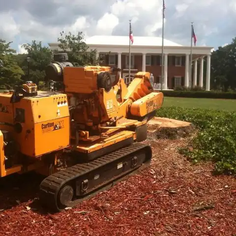 Yellow stump grinder parked at a columned civic building with flags
