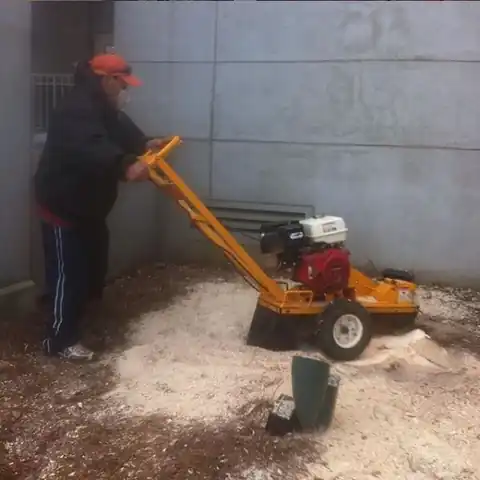 Stump face standing in a lawn before grinding